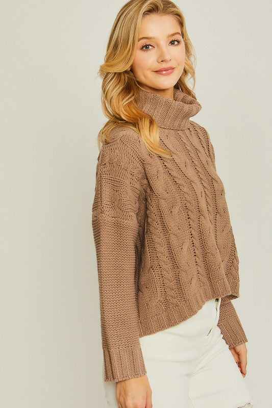 Turtle Neck Cable Knit Sweater in  Oatmeal and Pink