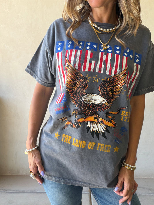 America Land of the Free Tee in Mineral Wash Gray