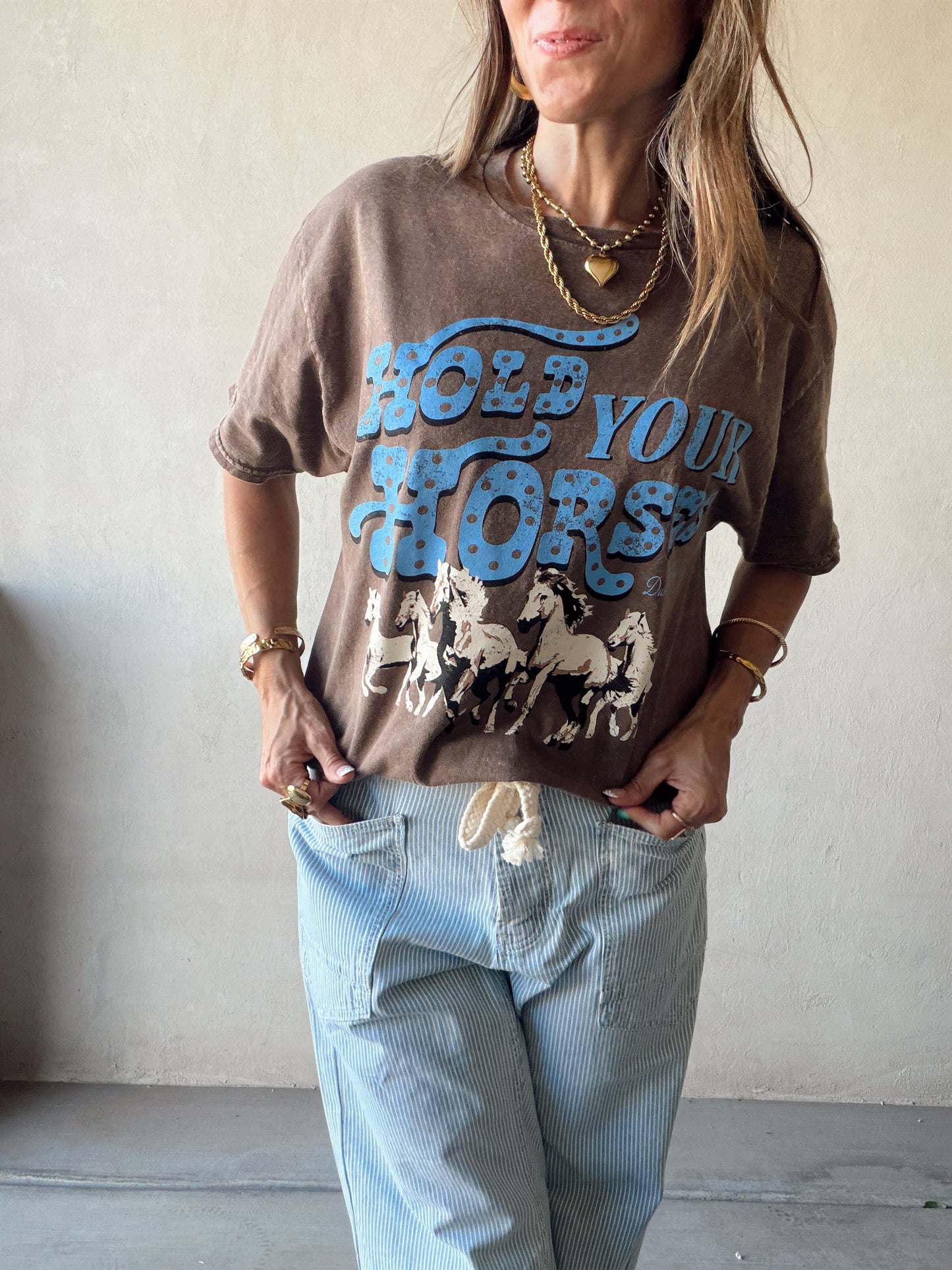 Hold Your Horses Tee in Mineral Wash Brown