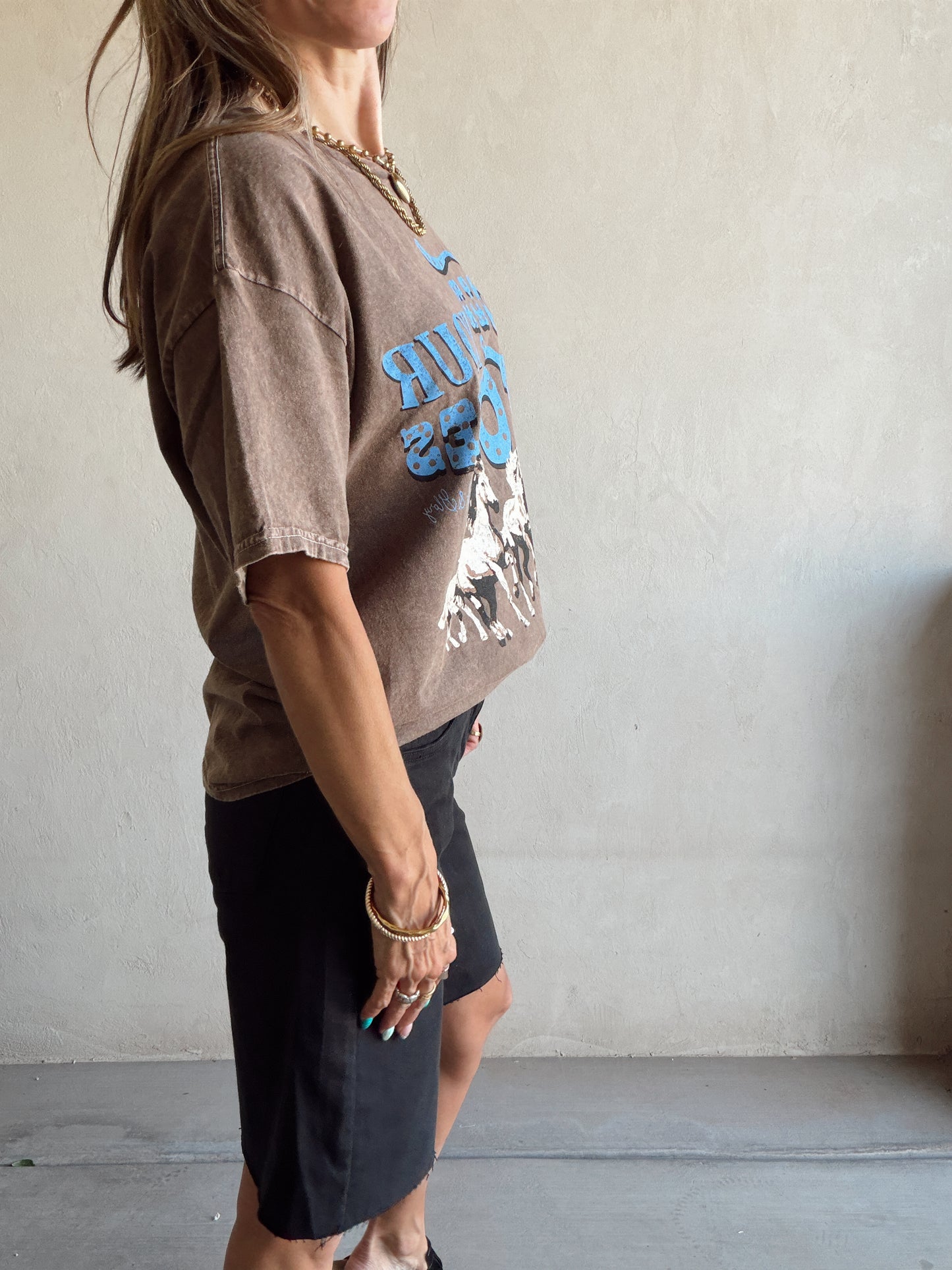 Hold Your Horses Tee in Mineral Wash Brown
