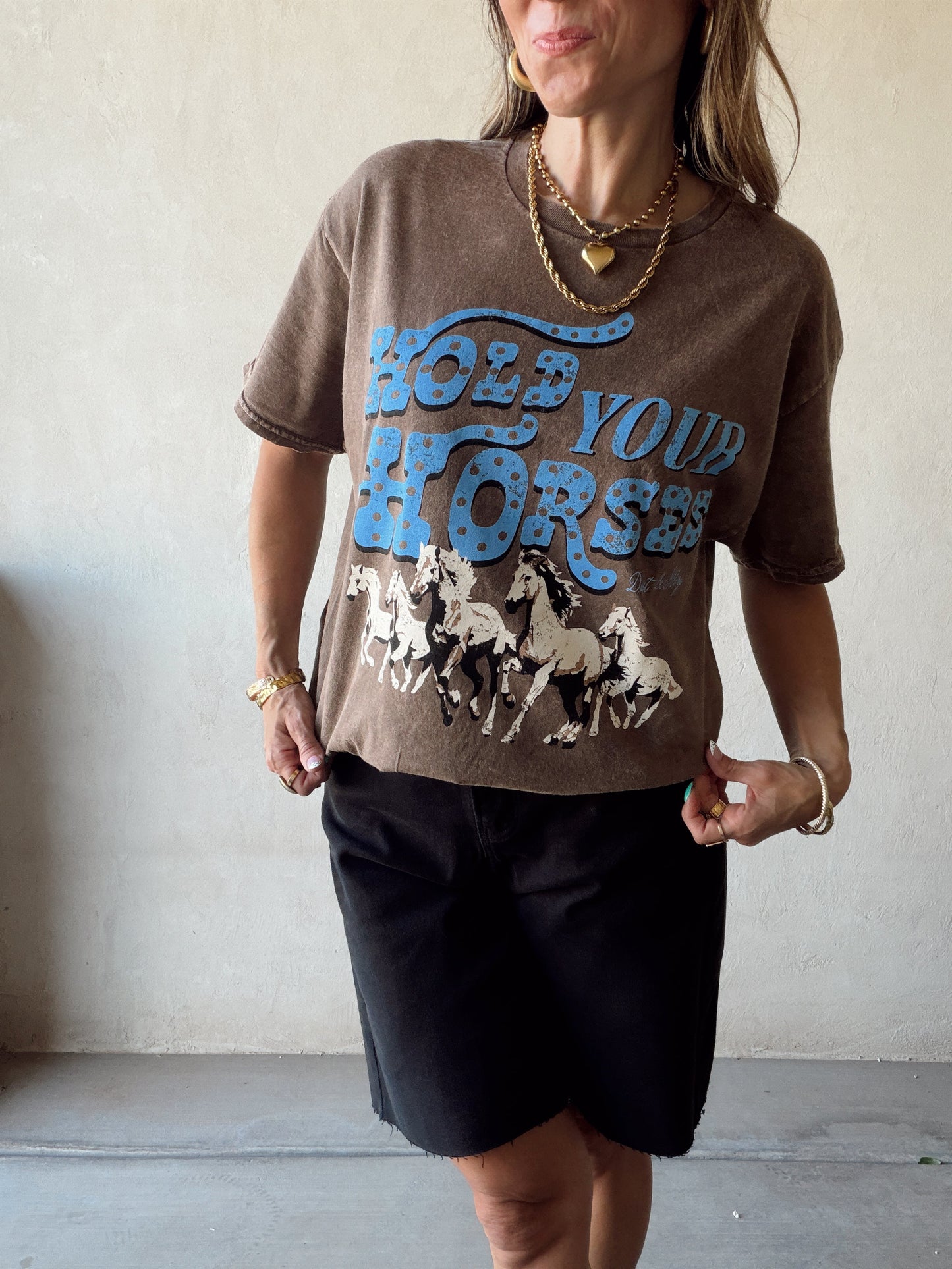 Hold Your Horses Tee in Mineral Wash Brown
