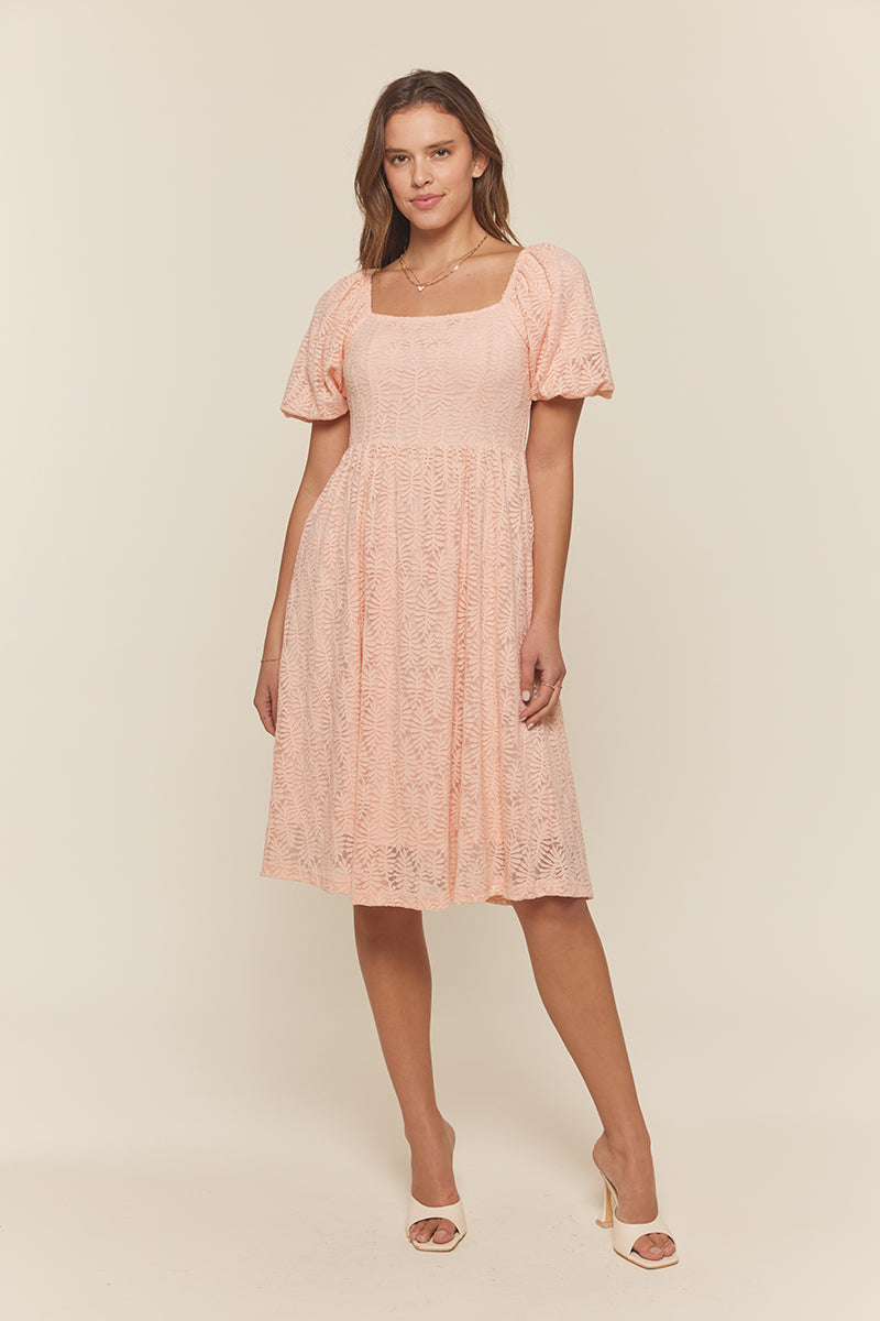 Alexa Lace Dress in Soft Pink
